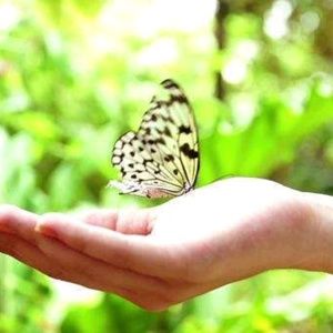 Meet your Posher, April